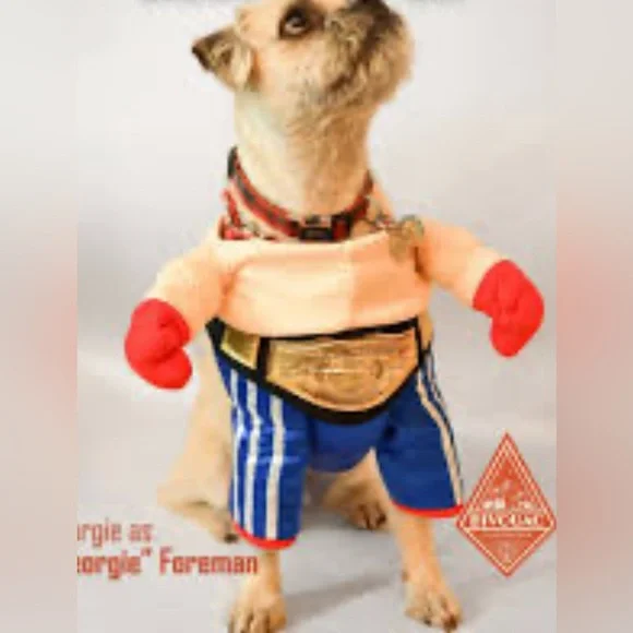 EUC [Halloween Costumes] Pro Boxer + Belt Dog Cat Pet Halloween Costume Sz Small - Picture 3 of 10